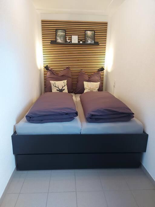 Ferienwohnung Lina Mit Toller Terrasse Im Schwarzwald 베르나우임슈바르츠발트 외부 사진
